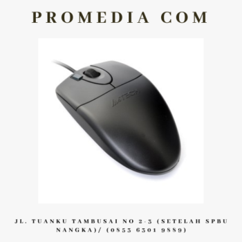 MOUSE OPTICAL A4TECH 620D